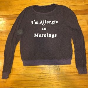 Purple Wildfox Long Sleeve Sweater